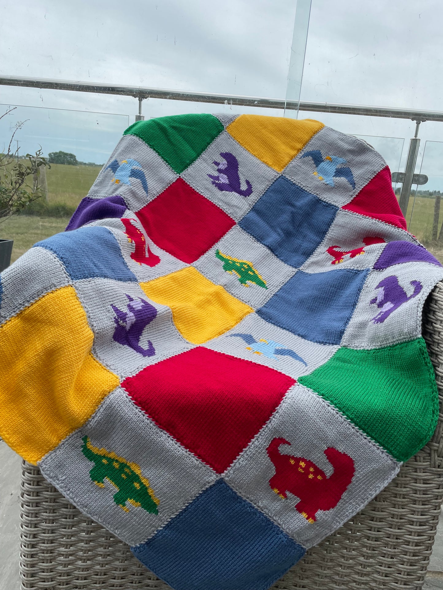 Dinosaur blanket